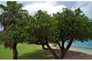 ホテル Beautiful Ground Floor! Corner! Just Steps To Ocean And Pool!120 Napili-Honokowai エクステリア 写真